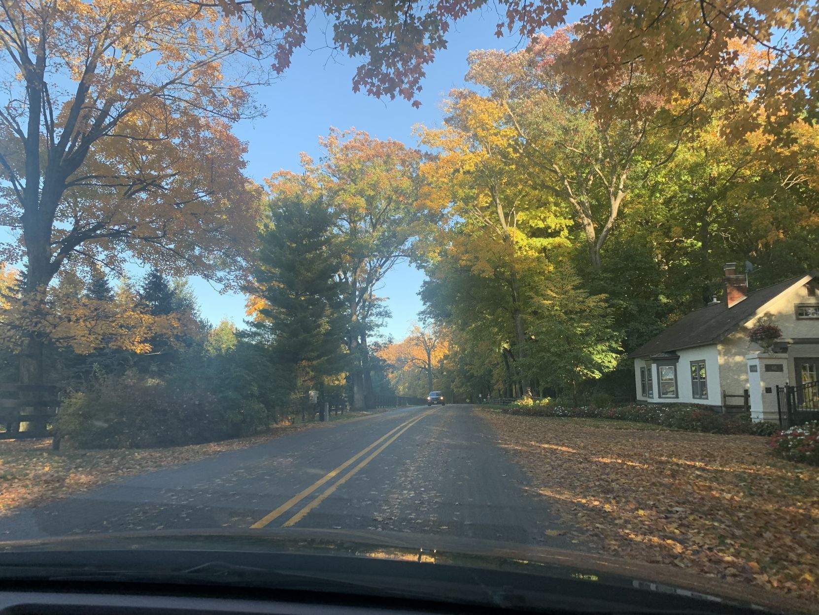 Snake Road fall colors